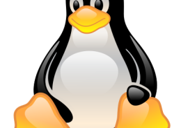 Linux command