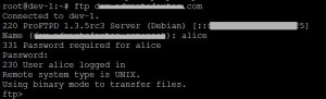 ubuntu ftpd successful login